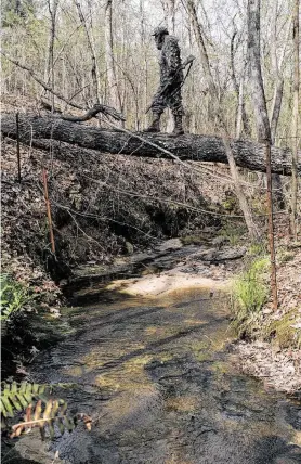  ?? Matt Williams ?? One of the cardinal rules of spring turkey hunting is to always set up at location that provides an incoming gobbler the path of least resistance.