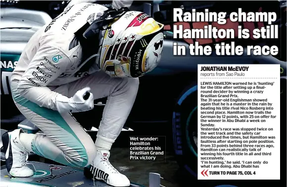  ??  ?? Wet wonder: Hamilton celebrates his Brazilian Grand Prix victory