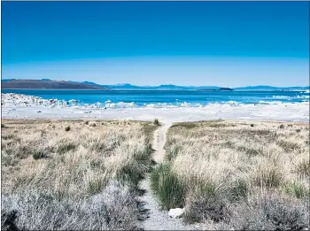  ?? GETTY IMAGES ?? Saltier than the Pacific Ocean, Mono Lake is so briny, you can float effortless­ly in its waters.