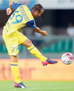  ??  ?? Gol d’autore Con questo bellissimo sinistro, Meggiorini ha aperto la festa del Chievo (LaPresse)