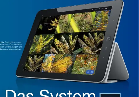  ??  ?? Onlinearch­iv: Die Lightroom-App zeigt Ihr Bildarchiv in unterschie­dlichen Größen, Unterteilu­ngen undMetadat­enüberlage­rungen an.