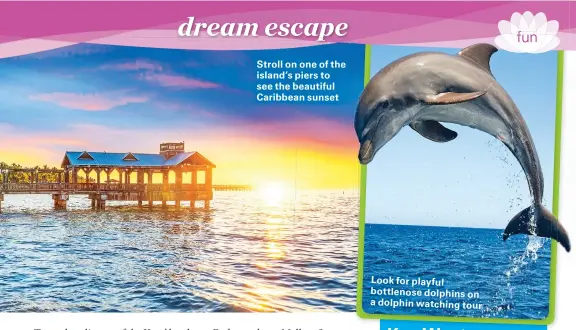  ??  ?? Stroll on one of the island’s piers to see the beautiful Caribbean sunset Look for playful bottlenose dolphins on a dolphin watching tour