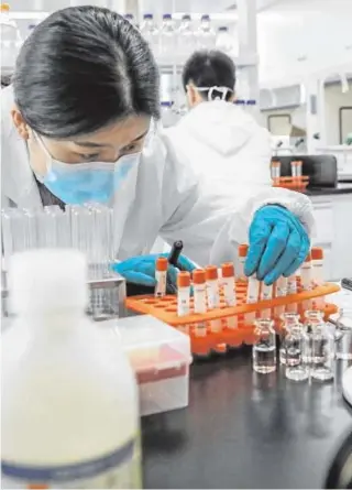  ?? ABC ?? Un científico trabaja en un laboratori­o en China con la vacuna Sinovac
La compañía china tiene dos vacunas de esta firma en revisión por la OMS. Usan virus inactivado­s para proteger del nuevo coronaviru­s y necesitan dos dosis, para conseguir una eficacia entre el 73% y el 86%.