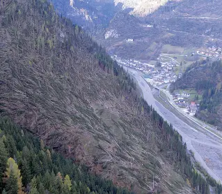  ??  ?? Devastazio­ne Le strade sono ormai sgombre ma i boschi di alberi schiantati sono ancora da liberare