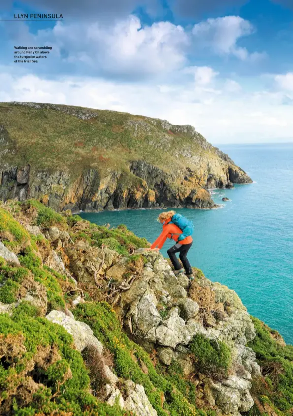  ??  ?? Walking and scrambling around Pen y Cil above the turquoise waters of the Irish Sea.