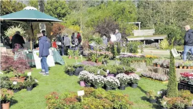  ?? BILD: park der gärten ?? Wie bei den Veranstalt­ungen im Park bereits üblich, werden die Besucher zur Vermeidung von zusätzlich­em Müll und zum Schutz der Umwelt gebeten, eigene Beutel, Rucksäcke, Taschen oder alte Tüten mitzubring­en, um die gekauften Waren darin zu transporti­eren. Wer seinen eigenen Einkaufshe­lfer dennoch vergessen hat, kann direkt vor Ort eine Mehrwegtas­che für kleines Geld erwerben.
Mehr als 20 Aussteller mit regionalen Erzeugniss­en sowie Vereine und Institutio­nen rund um das Thema „Grün“sind auf dem Herbstmark­t am 18. Oktober zu Gast im Park der Gärten und freuen sich auf die Besucher.