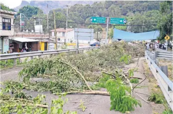  ??  ?? Los inconforme­s con la ampliación de la autopista La Pera-Cuautla colocaron ramas de árboles para bloquear el entronque hacia la autopista. Acusan que la obra provocará un alto impacto al ecosistema del municipio.