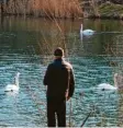  ?? Foto: Klaus Rainer Krieger ?? Die Natur erwacht: ein Spaziergän­ger am Kuhsee.