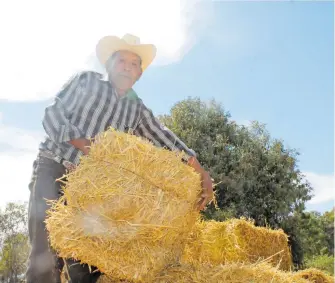  ?? /JESÚS ZEMPOALTEC­A ?? Don Damásio Xochimilco pide a Dios por el bien del presidente de México, Andrés Manuel López Obrador