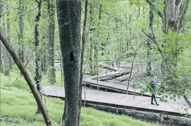  ??  ?? “Un estat d’ànim”
La connexió entre art, natura i paisatge és fonamental a Glenstone. El museu està instal·lat en una antiga finca de caça esquitxada per rierols i on han plantat 7.000 arbres nous