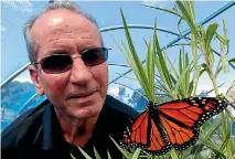  ??  ?? Ian Knight, of Occasional Monarchy, with a butterfly in a tunnel house at his business in Hope, near Nelson.