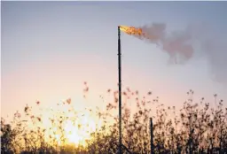  ?? JESSICA LUTZ/THE NEW YORK TIMES 2020 ?? Natural gas flares at a facility near Coyanosa, Texas . After hitting their highest levels since 2014, natural gas prices have tumbled recently.