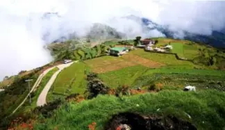  ??  ?? OVERLOOKIN­G a carrot and romaine fields in one of the highland vegetable terraces of Maria’s Farm, situated on over 2,000 above sea level (ASL) in the town of Kibungan, Benguet.