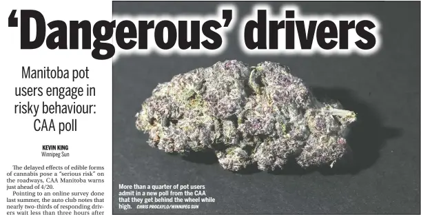  ?? CHRIS PROCAYLO/WINNIPEG SUN ?? More than a quarter of pot users admit in a new poll from the CAA that they get behind the wheel while high.