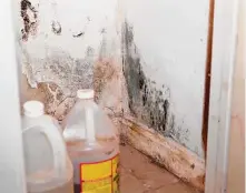  ?? ?? Mold keeps reappearin­g in Gloria Smith’s pantry. Her son is on oxygen because of COVID-19.