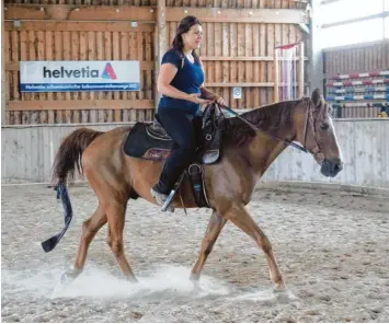  ??  ?? Sunlight marschiert eifrig vorwärts, während Denise Bader entspannt im Sattel thront. In den Ställen und auf den weitläufig­en Koppeln von Josef´s Walkawy Farm in Wemding leben rund 60 Tennessee Walking Horses.