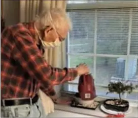  ?? COURTESY OF BERKSHIRE COMMONS SENIOR LIVING COMMUNITY ?? Ron Owens, 88, a retired milkman, cultivates bonsai trees to keep active in his apartment at Berkshire Commons Senior Living Center. It’s something to do besides watching television, he says.