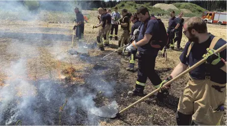  ?? FOTO: DAVID DRENOVAK ?? Mit der klassische­n Feuerpatsc­he rücken die Einsatzkrä­fte dem Flächenbra­nd zu Leibe.