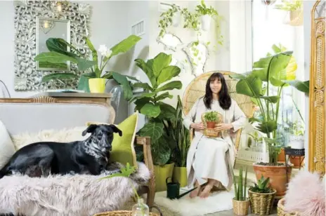  ?? CARLOS OSORIO/TORONTO STAR ?? Erin Kobayashi at home with her plants and her dog Luna. Many millennial­s have started creating urban jungles in their apartments.