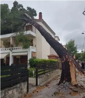  ?? FOTO: OSCAR GULL ?? Sex omkom och över 100 skadades i stormen. Träd föll över bilar och hus i stormen och orsakade också materiella skador.