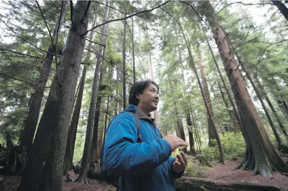  ?? THE CANADIAN PRESS ?? Ken Wu trains volunteer guides to lead Chinese-language forest tours in Stanley Park. Those who take the tours discover the rare wonders of old-growth forests.