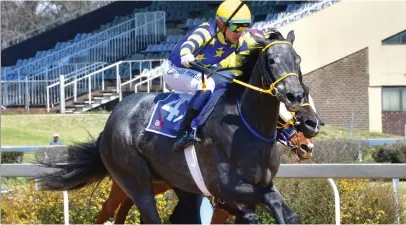  ?? Picture: JC Photograph­ics ?? ABILITY. Fushimi Inari could be hard to beat in Race 5 at the Vaal tomorrow.