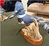 ?? DALE BOWMAN/SUN-TIMES ?? Steve Quiram’s carving of a belted kingfisher at the Henry Decoy Show.