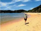  ??  ?? The Abel Tasman Great Walk is a 60-kilometre multi-day hike and is open for bookings again.