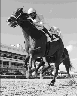  ?? RYAN THOMPSON/COGLIANESE PHOTOS ?? Willy Boi, trained by Jeff Engler, wins his debut on Thursday in a maiden special weight race at Gulfstream.