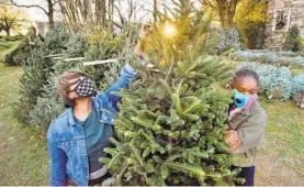  ?? AMY DAVIS/BALTIMORE SUN ?? Venna McKoy, left, and her daughter, Zaria Medley, 12, of Penn Lucy, select a Fraser fir at the Christmas tree sale at St. Pius X Church, where Zaria attends school.