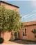  ??  ?? Masseria degli Uli vi, bei Noto, Sizi lien, Tel.0039/ 0931 813019, info@masseriade gliulivi.com, www.masseriade gliulivi.com, DZ ab 98 Euro