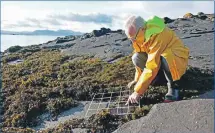  ??  ?? Prof Michael Burrows of SAMS is 180th among the world’s 1,000 most influentia­l climate scientists.