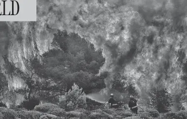  ?? ANGELOS TZORTZINIS/AFP/GETTY IMAGES ?? Firefighte­rs work to extinguish flames in the village of Kineta, near Athens, on Tuesday. Raging wildfires have killed scores of people, devouring homes and forests and forcing terrified residents to flee into the sea to escape danger.