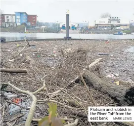  ?? Mark Lewis ?? Flotsam and rubbish in the River Taff from the east bank