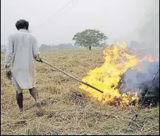  ?? HT FILE ?? The pact between Gadvasu and Qatarbased Alkindi Group is seen as a major step towards reducing pollution caused by burning straw after paddy harvesting in November.