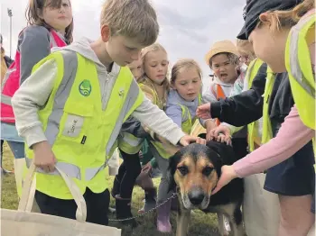  ?? RACHAEL KELLY ?? Chubb the dog gets pats from northern Southland school children after they learn how to approach a dog they do not know at a farm safety day at Riversdale.