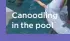  ??  ?? Canoodling in the pool