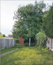  ?? ?? A Google Earth image shows the long strip of garden with the ash tree at the end; right, the 70ft ash has been felled