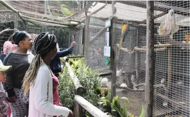  ??  ?? FEATHERED FRIENDS: The landmark World of Birds in Hout Bay has been suffering financiall­y in recent years.