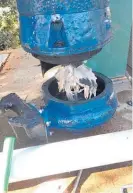  ?? ?? A rag monster blockage in a Kaipara wastewater grinder pump.