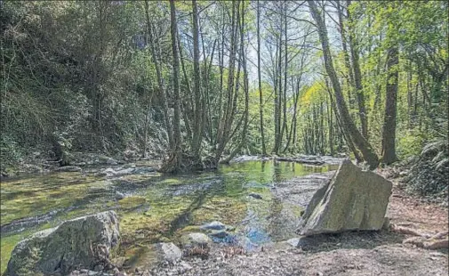  ?? PEDRO CATENA ?? El río, a su paso por el parque natural del Montseny, otro de los ejes del proyecto Tourdera