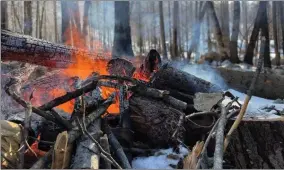  ?? ?? The prescribed burn continued in snowy conditions in the Belknap, Black Mountain and Mcintyre Groves.