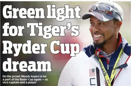  ??  ?? On the prowl: Woods hopes to be a part of the Ryder Cup again — as vice-captain and a player