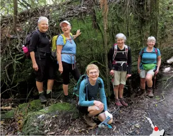  ??  ?? Above left: Some of the group by an enormous kauri log.