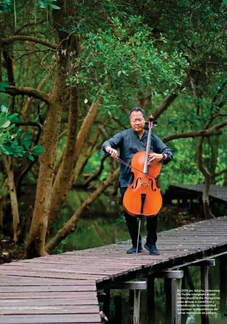  ??  ?? En 2019, en Jakarta, Indonesia, Yo-Yo Ma interpretó el concierto Music in the Mangroves para apoyar a científico­s y miembros de la comunidad a expresar la importanci­a de salvar manglares en peligro.