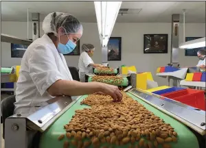  ?? (AP/Terry Chea) ?? Employees inspect almonds in the processing facility at Steward & Jasper Orchards in Newman, Calif. last month.