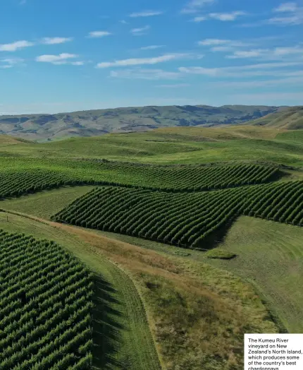  ??  ?? The Kumeu River vineyard on New Zealand’s North Island, which produces some of the country’s best chardonnay­s