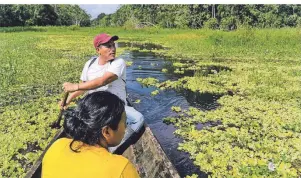  ??  ?? Ramiro unternimmt mit Besuchern Bootstoure­n über den Amazonas.