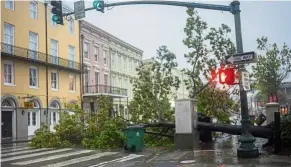  ?? — Reuters ?? No way through: A fallen tree blocking a street in New Orleans after Hurricane Zeta made landfall.