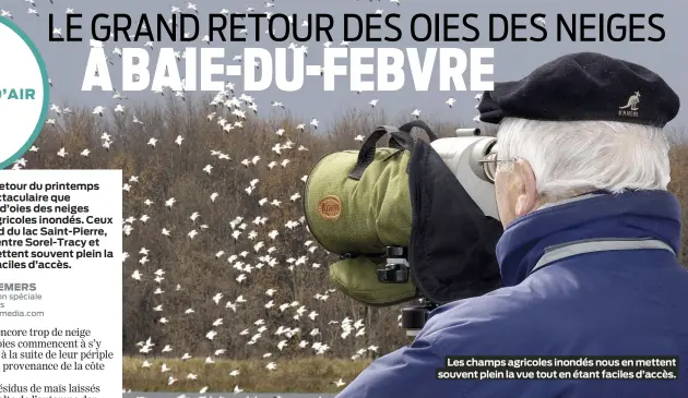  ?? ?? Les champs agricoles inondés nous en mettent souvent plein la vue tout en étant faciles d’accès.